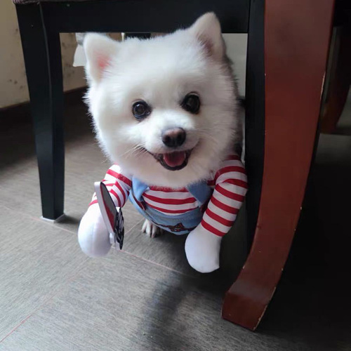 Cross-border Halloween knife dog costume small dog dogs funny transformation suit cat pet clothing supplies factory