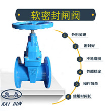 法兰软密封闸阀球磨铸铁Z45X-16Q弹性座封闸阀国标手动明杆暗杆闸