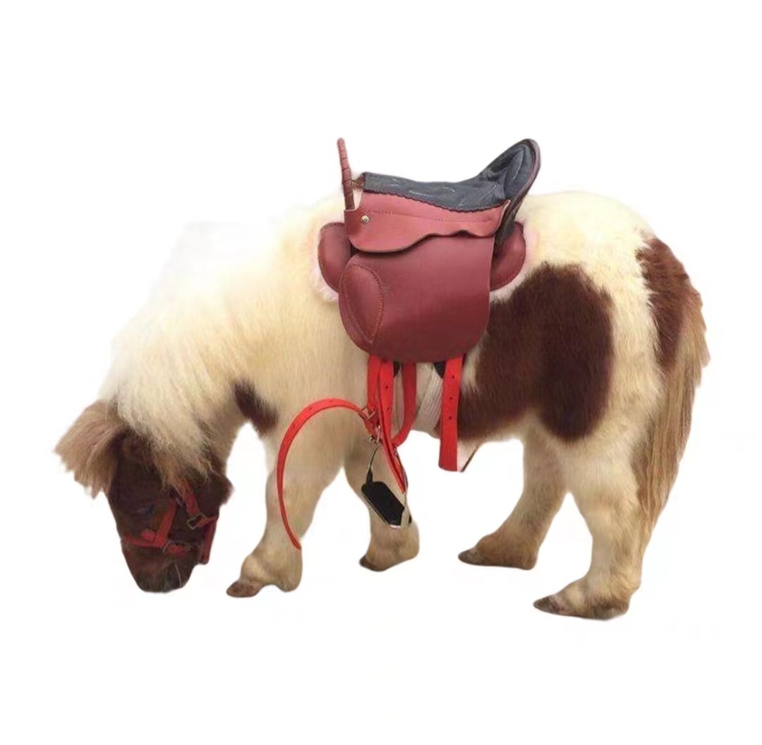 微信图片_20230430120014