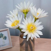 ♔睡莲鲜花鲜切花花束荷花莲花百合花客厅植物插花广州花卉基地直