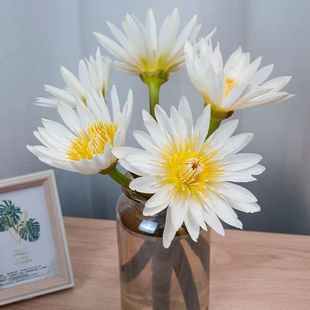 ?˯ɏ�r���r�л������ɻ�ɏ���ٺϻ��͏dֲ��廨�V�ݻ��ܻ���ֱ