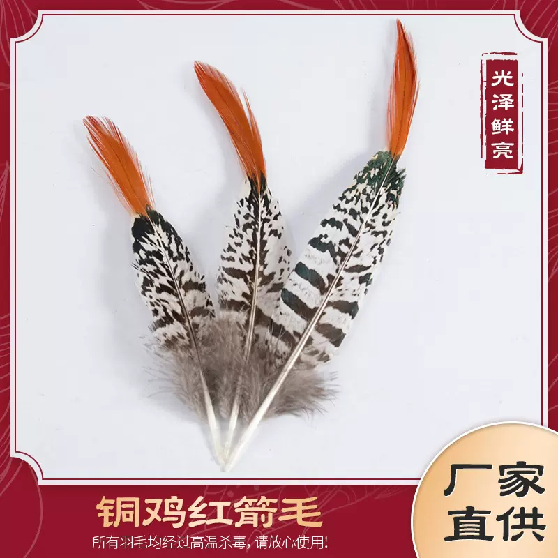 厂家批发铜鸡红箭毛5-30cm自然羽毛DIY装饰品配件亚马逊专供