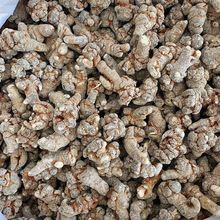 三七云南文山春三七头整个田七非野生 代磨粉切片好货滋补佳品