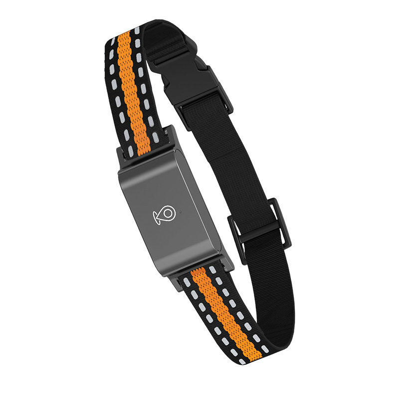 Nuevo rastreador GPS transfronterizo ubicación anti-perdida collar trayectoria histórica valla electrónica localizador de mascotas 4G _