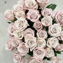 һ�����l���� ��Ʒ�л��¼� ���Ի����̨ͥԺ�༾���S����ľõ��