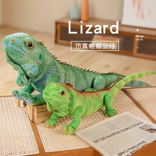 ����Gɫ���湫��ë�q��߿羳������׃ɫ����ż�к�����߱���