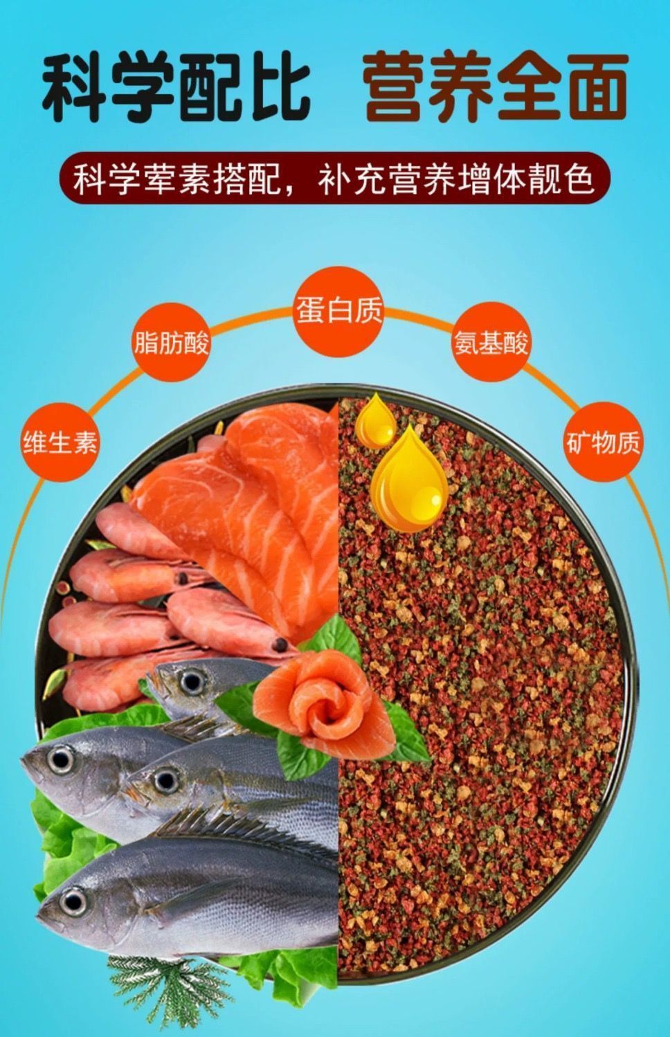 08fcb98a-ad15-4926-a0b9-68a29ff99695.jpe