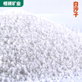 白色石英砂2-4细沙雪花白儿童游乐场沙池白色沙子水质过滤滤料