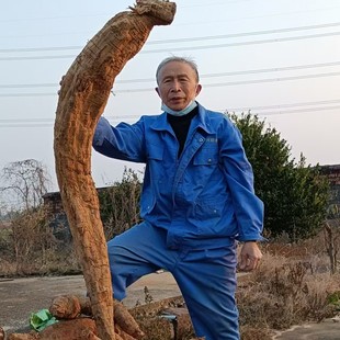 ���������Ȼԭζ���ڸ��ԭ�۠I�B��Ɵo��������r�ҹŷ����