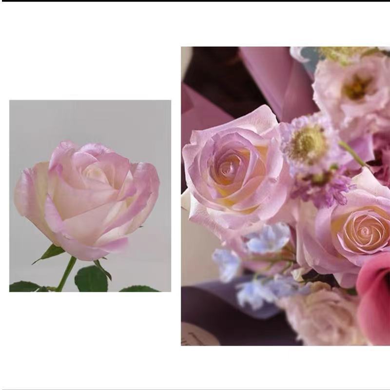 Internet celebridad ciruela negro rosa púrpura flores autopintadas agente de pulverización de color tinte floral spray colorante