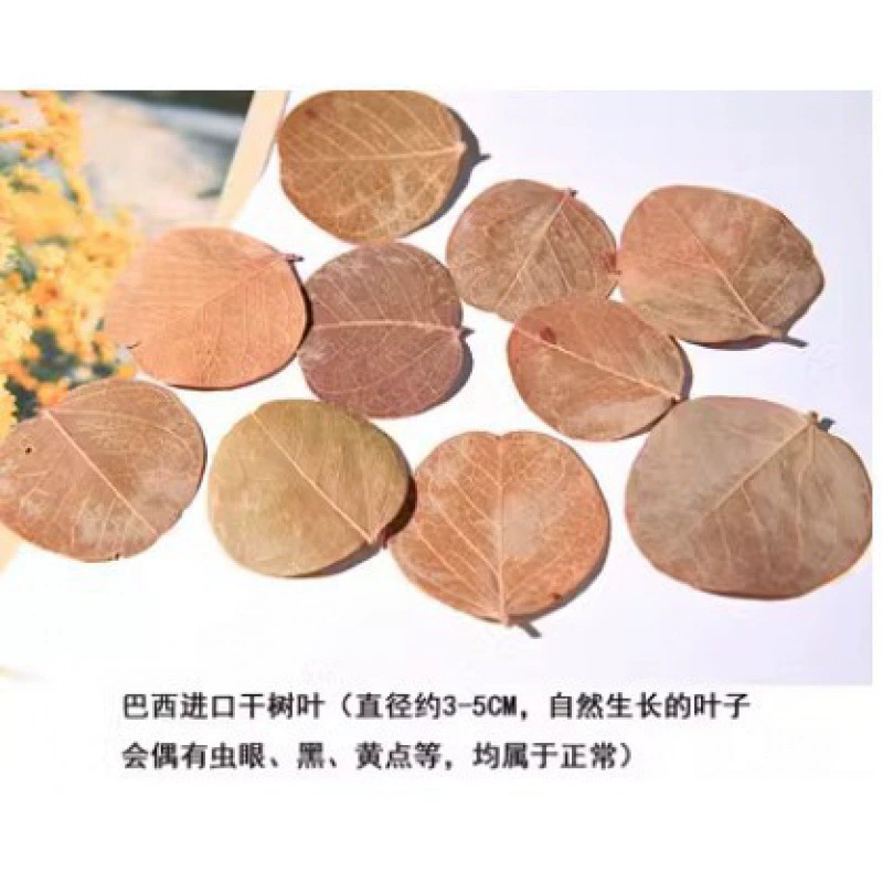 Organic sample, photo frame handmade, Christmas materials set, DIY
