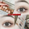 Matte eye shadow, 12 colors, earth tones, wholesale