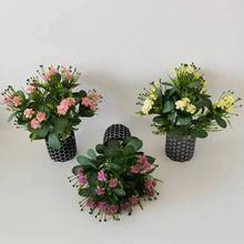 ֲ7^Ķ~һ辰 bٻ҃ȼҾֲ7^Ķ~