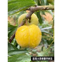 ���ڷ������Ә����F��Ó�����ش�������Ә����ϱ����Nֲ�������