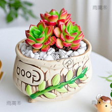�羳����ֲ��M���҃�С���Ԏ��մɻ������Ϙ��߶�������Gֲ���l