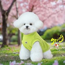 С�����·����������ی����R�����ߵ�ѩ�{��̩�ϱ���Ĩ�豳��
