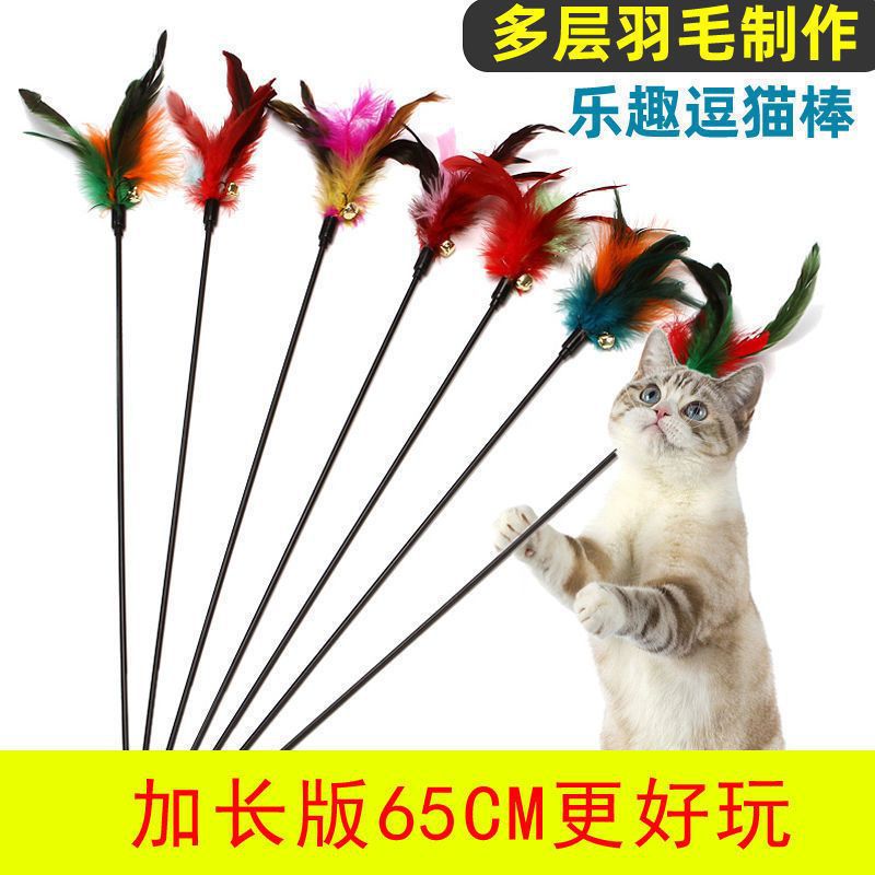 길이 65cm