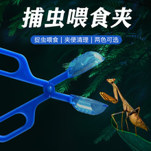 昆虫养殖虫饲养喂食爬虫用品 喂食清理夹面包虫爬虫爬宠夹子便捷