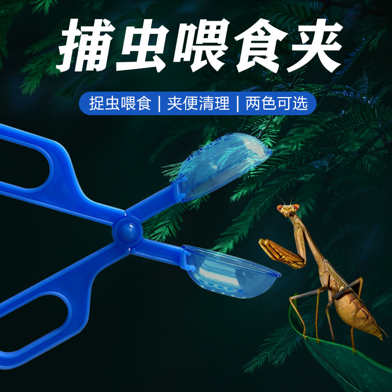 昆虫养殖虫饲养喂食爬虫用品 喂食清理夹面包虫爬虫爬宠夹子便捷