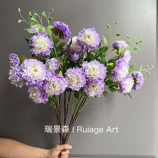 c滨3^ĦĵxYõ픲廨羳blٻ