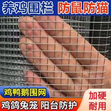 热镀锌铁丝网养殖圈地钢丝网养鸡鸭封窗防护加厚加粗防鼠1cm孔