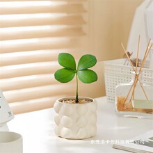 ���~��ī�����F�����\������k���҃�����Gֲ��������ֲ���ݗ��