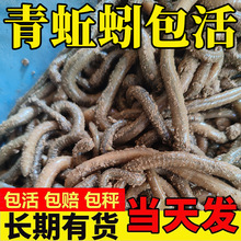 �r��������S�X���w������ش���������������Ұ��~�D���s