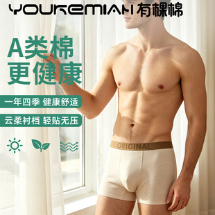 �п���100%ȫ���d��ʿƽ�ǃ�ѝ80֧A���10A����͸�������Ľ�ѝ