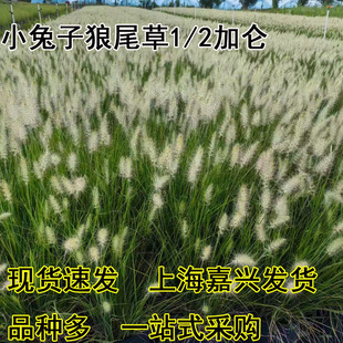 С������β�� ���@�^�p��Ʒ�N�Rȫ���󃞻ݶ������ͺ��͟��޸���
