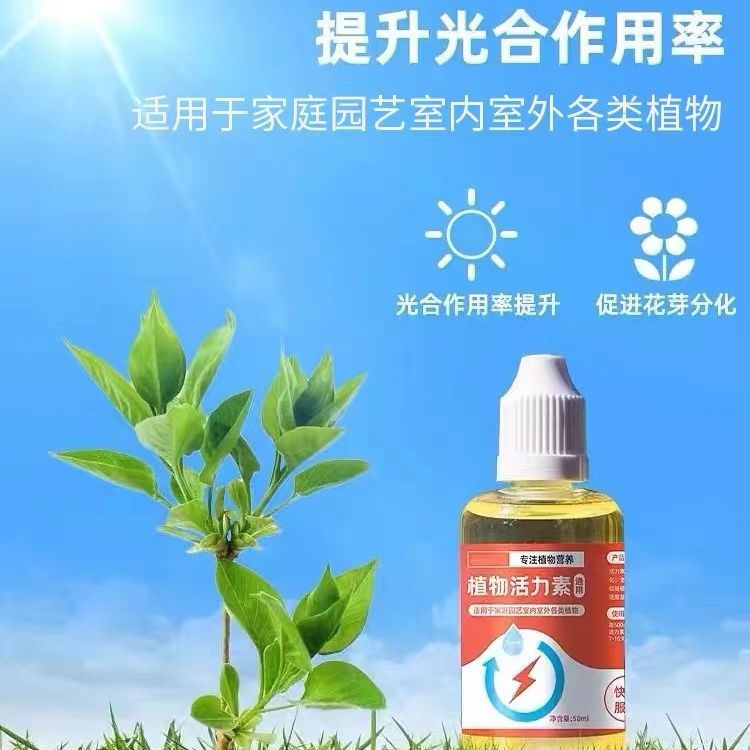 Plants vitality Substitute of Flower Special -purpose Furnishing…