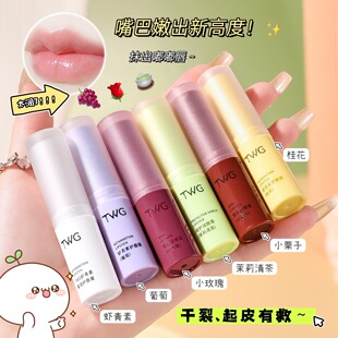 TWG�r���؝����� �̝�����ˮ���o�����ﶬ������ ���ʝ��������l