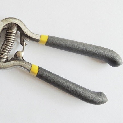 Tijeras de jardinería de 8 pulgadas para podar ramas de frutas, tijeras para podar flores, herramientas para podar ramas, tijeras para podar árboles frutales.