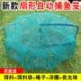加厚抓捕折叠新款虾笼