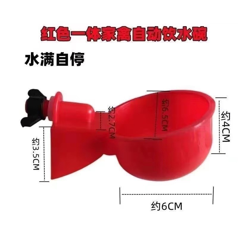 닭과 오리 새로운 자동 마시는 그릇