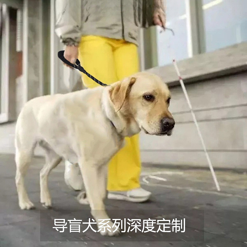 Correa para mascotas transfronteriza corta a prueba de explosiones reflectante cuerda redonda guía perro correa de perro de nylon 60CM