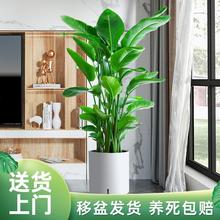 BGֲ͏dk҃ȺBȩ՚;Gֲļߙn