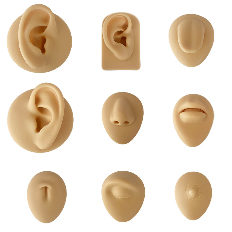 Silicone Simulation Human Ear Model Piercing Ear Practice Teaching Props Jewelry Ear Studs Earrings Display Bracket Silicone Simulation Human Ear Model Piercing Ear Practice Teaching Props Jewelry Ear Studs Earrings Display Bracket