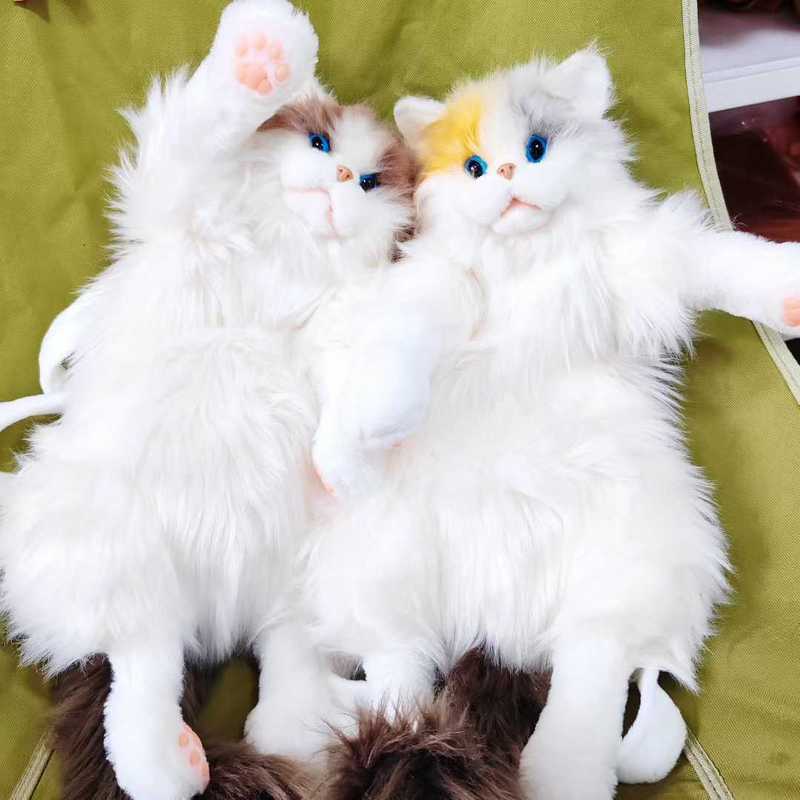 抖音同款三花猫仿真猫咪玩偶娃娃公仔毛绒玩具布偶猫背包生日礼物|undefined