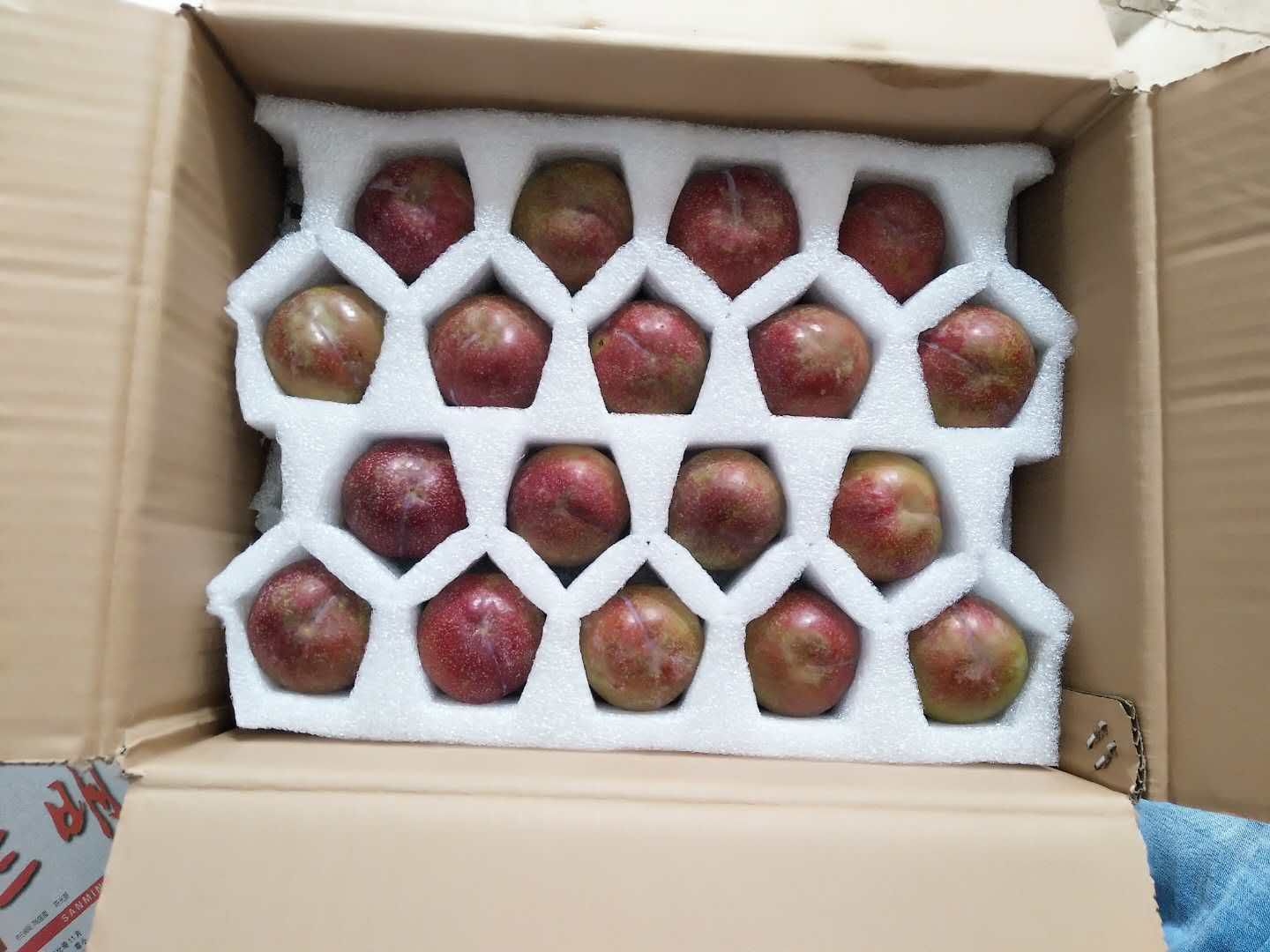 厂家供应18枚35枚白色珍珠棉快递运输李子包装/缓冲李子包装