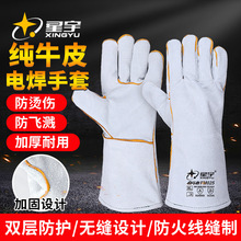 ����늺�����ţƤ��ĥ�͸ߜط��C���L늺����ך廡���⺸���I���o