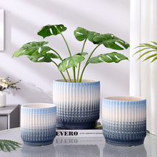 白色北欧陶瓷花盆大号轻奢虎感兰花盆家用花瓶亿恒蝴蝶兰