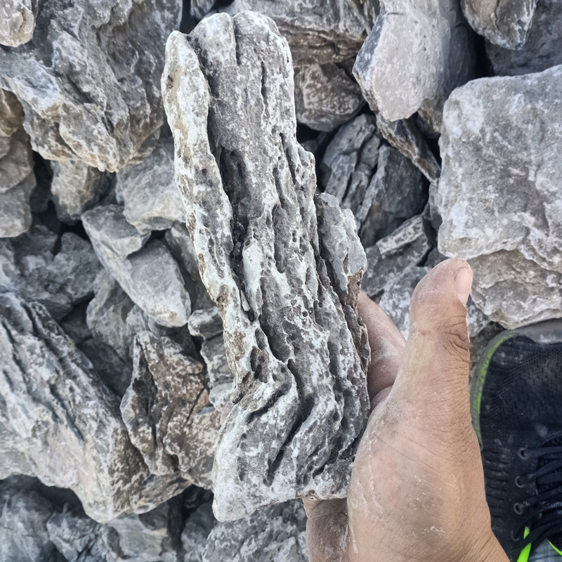 精品青龙石迷你青龙石假山石盆景小青龙石鱼缸造景石 50斤一袋