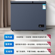 一级节能冰柜家用大型净味商用冷冻冷藏两用双温大容量冷冻柜雪柜