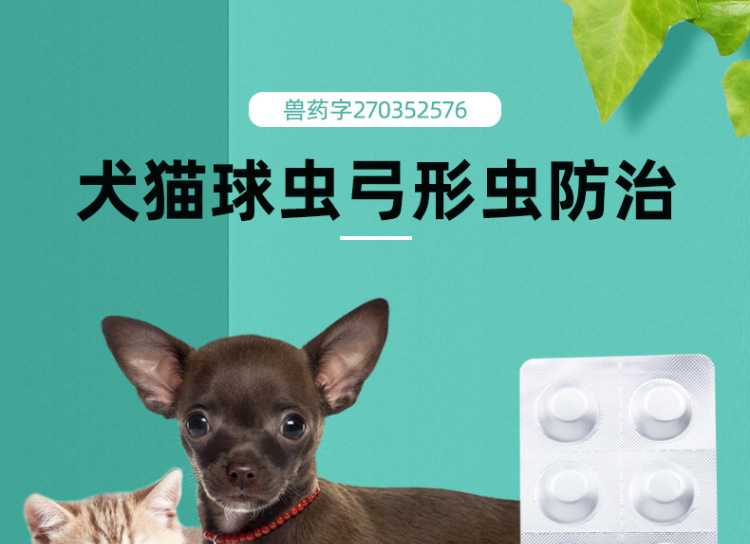 球虫药炎迪净猫_01.jpg