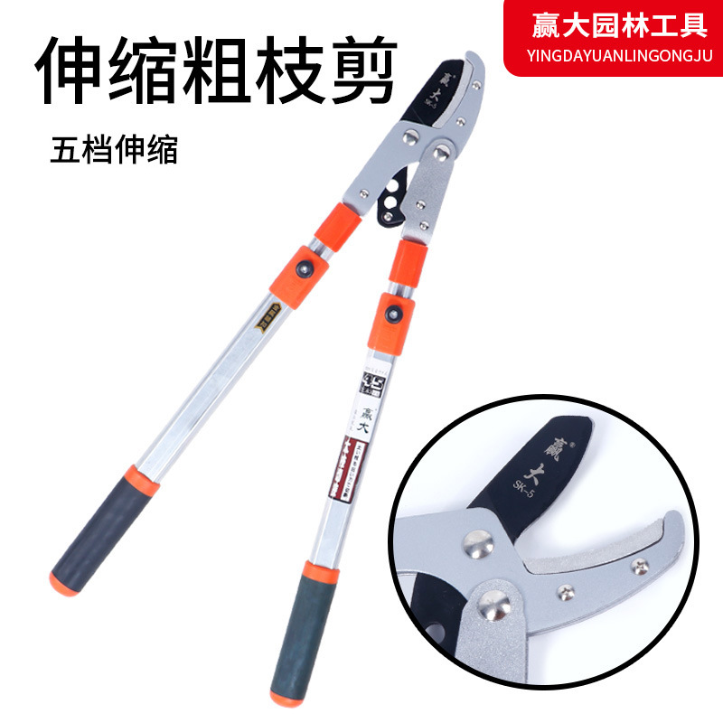 Ganar grandes tijeras de rama gruesa telescópicas de aleación de aluminio, tijeras de rama alta, recolectores de frutas, tijeras de podar a gran altitud, herramientas de jardín