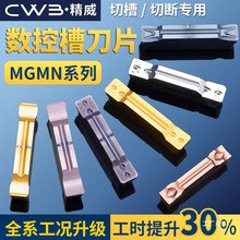 �����в��Д൶Ƭ܇������C�A���mgmn300-m䓼����P䓸��̽�