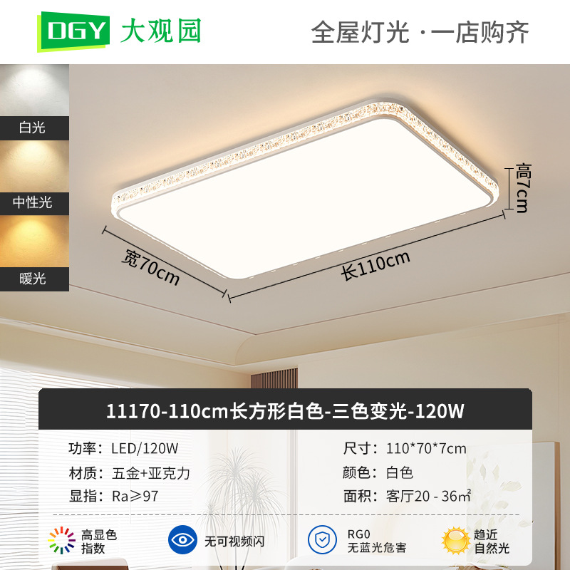 Luz de techo de sala de estar moderna y simple nueva luz de lujo de alto nivel, luz de techo de protección de ojos de espectro completo 293L