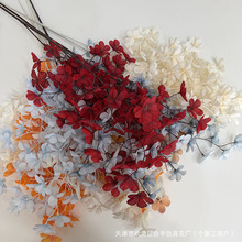 �����֦�O�����ٻ���Y�Y�ñ�����픵������컨�Ƶ�����������l