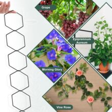 ����ֲ�����ټ�������҃ȸ��Ӽ܄��������FȦ���������ܱڒ�