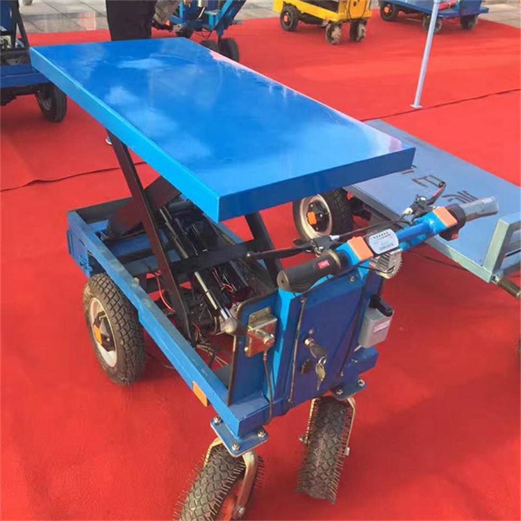 厂家直供大功率充电式遥控轨道运输车 蓄电池轨道平车 小型轨道车